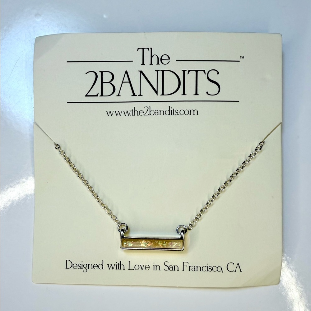 🧚🏻‍♀️ The Two Bandits Elegant Silver Chain Necklace